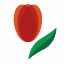 amda-pompe.org