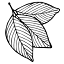 astragale-studio.com