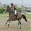 centre-equestre-eperon.com