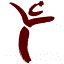 christianleadership.institute