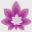 europeanflora.com
