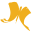 fcsok.org