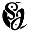 starringjoelle.com