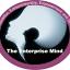 theenterprisemind.com.ng