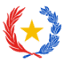 vicepresidencia.gov.py