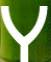 yerahealth.com.au