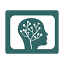 acse.net