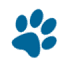 allpetsanimalhospitalofsneadsferry.com