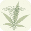 cannabislawgroup.com