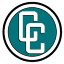 carcredittampa.com