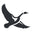 eddiebauer.co.jp