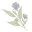 flowersonline.com