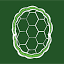 greentortoisesf.com
