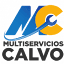 multiservicioscalvo.com