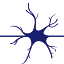 nqneuroandspine.com.au