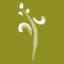 pashamd.com