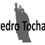 pedrotochas.com