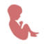 prolifepress.com