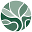 rootree.ca