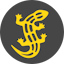 salamander.md