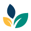 springfieldclinic.com
