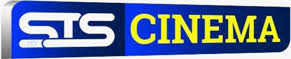 stscinema.com