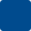 allenfoundation.org