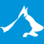 amvac.ro
