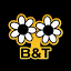 bloomsandthings.com