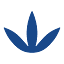 bluesagecanna.com