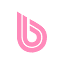 bwt-pro.fr