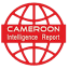 cameroonintelligencereport.com