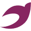 chakavak.io
