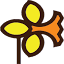 daffodilbulbs.com.au