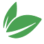 depuracioncorporal.com