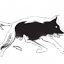dnsproxy.org