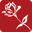 dreamangelmassages.nl