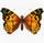 memoriachilena.cl