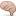 neurobiology.ru