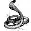 snakeoil.wtf