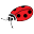 stemilt.com