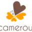 anorcameroun.info