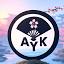 ayakamods.com