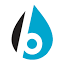 burcam.com
