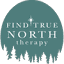 findtruenorththerapy.com