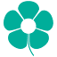hokh.org