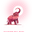 jumbolon.com
