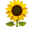 matthewquerzoli.com