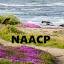 montereynaacp.org
