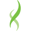 preventcancer.org